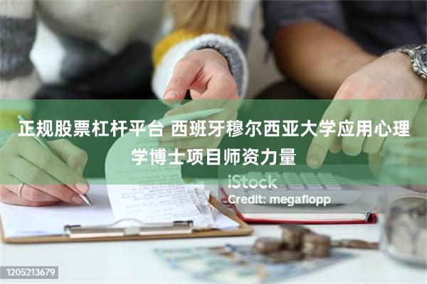 正规股票杠杆平台 西班牙穆尔西亚大学应用心理学博士项目师资力量