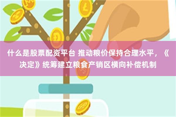 什么是股票配资平台 推动粮价保持合理水平，《决定》统筹建立粮食产销区横向补偿机制