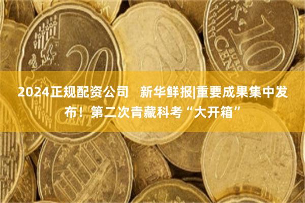 2024正规配资公司   新华鲜报|重要成果集中发布！第二次青藏科考“大开箱”