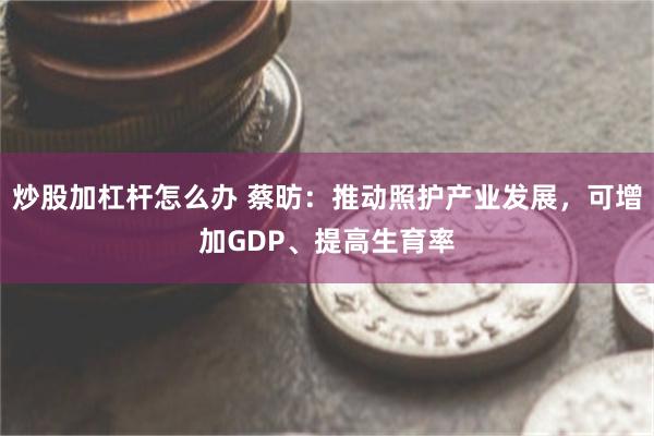 炒股加杠杆怎么办 蔡昉：推动照护产业发展，可增加GDP、提高生育率